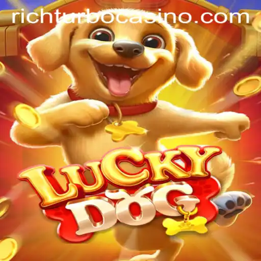 Exploring LuckyDog: A Game of Chance and Strategy
